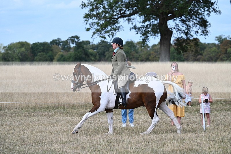 WJ7_7292 - Class 14 Ridden Coloured