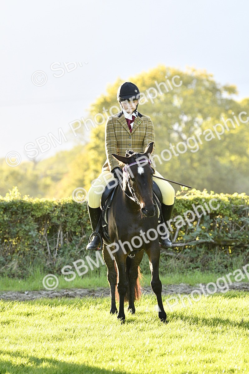 SBM_53582 - S14 - Riding Club Horse