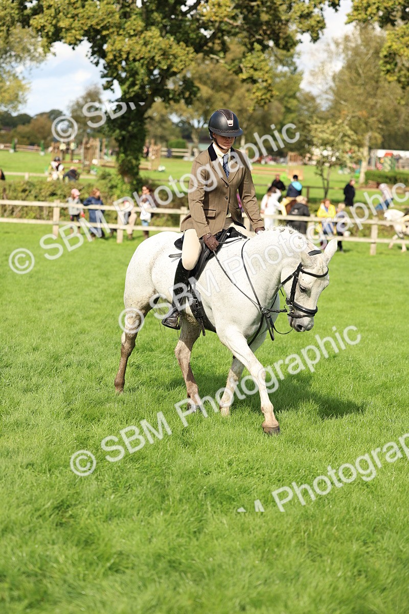 SBM_45532 - S33 - Working Hunter Pony