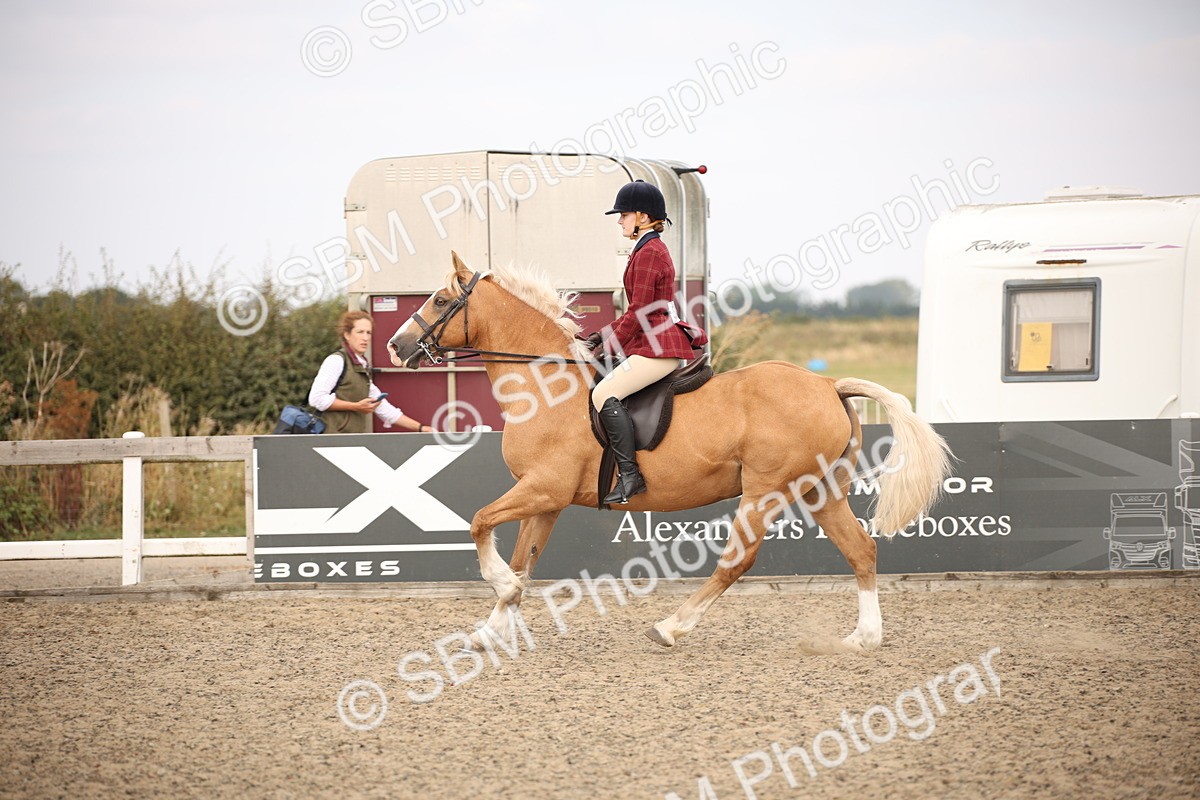 SBM_16196 - Class 409a - Working Veteran 80cm (15-19)