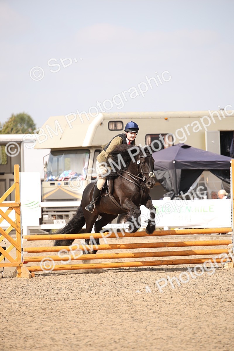 SBM_14997 - Class 408a - Working Veteran 70cm (15-19