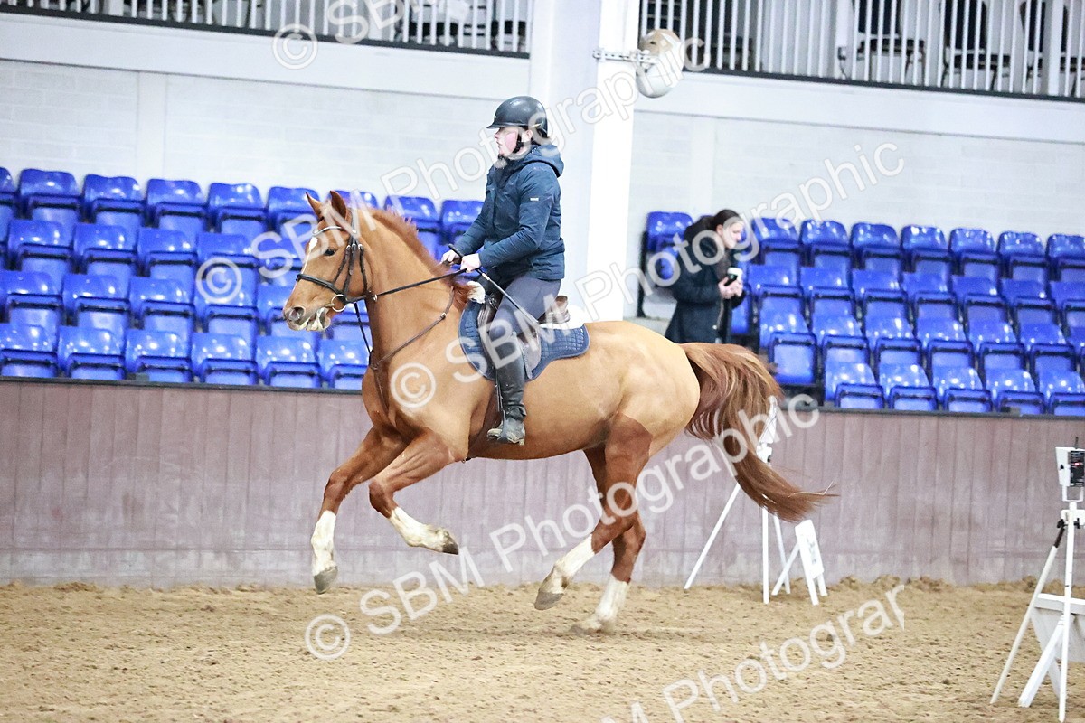SBM_004128 - Class 14 - Clear Round 80cm