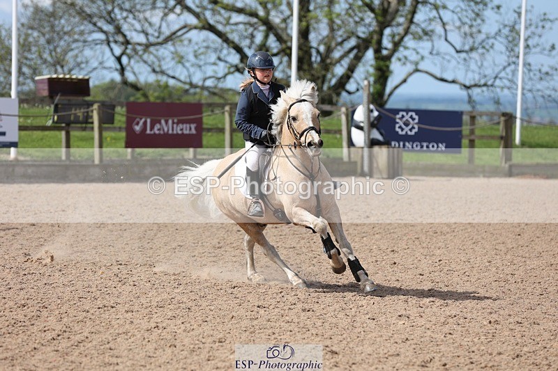 250504-105219-01997 - Cls 2 Pony British Novice and 80cm Open