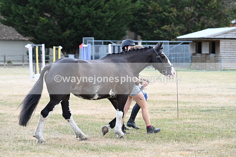 WJ7_1821 - Class 4a Prettiest Mare 14.2hh and over hand