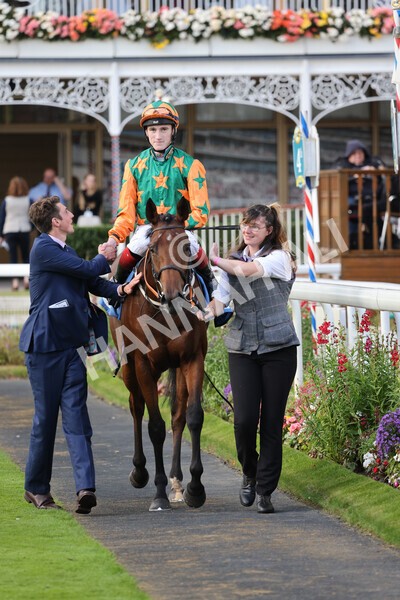 yr24092021r7-22 - Race 7 4.55pm William Hill Free or Four Fillies' Stakes