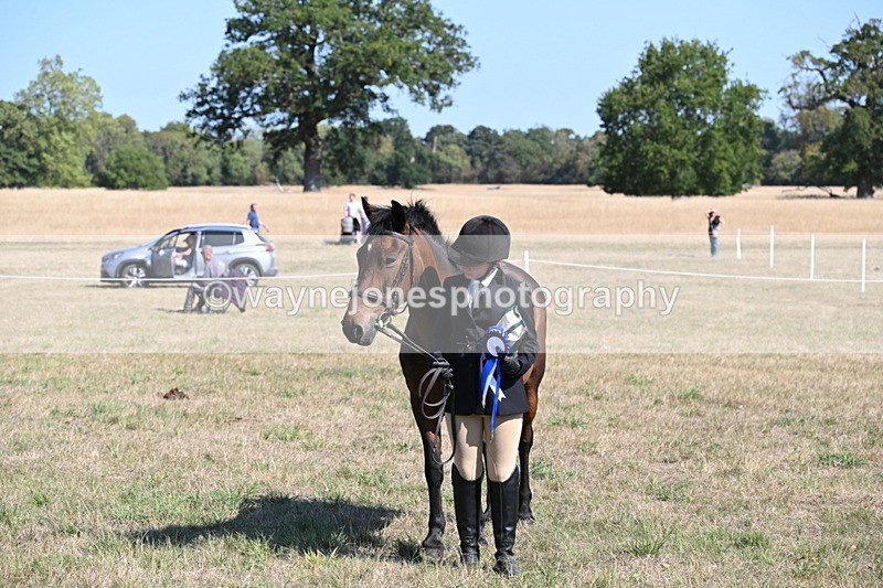 WJ6_7675 - Class 34 Judges Choice