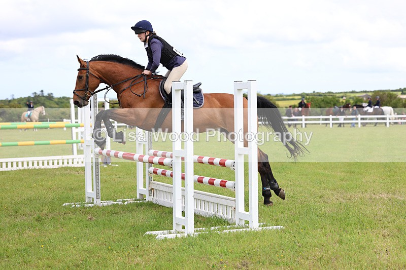 3E7A7622 - Class 13: Senior British Novice/90cm open