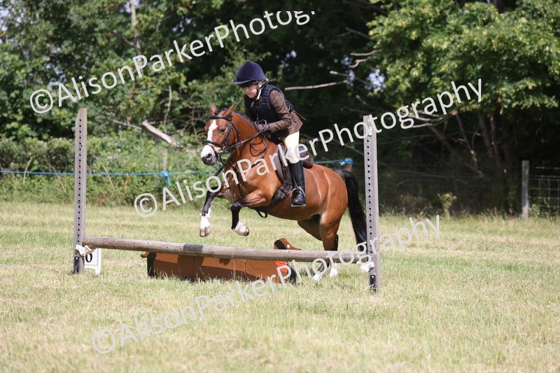 20260614-1749 - Class 21 - Novice Working Hunter Pony