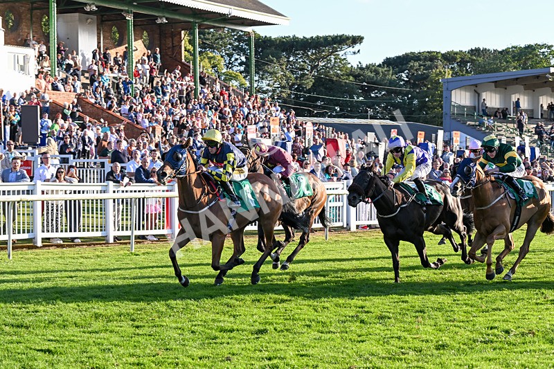 160824-Race 5-Ready Freddie Go-9583 - Race 5