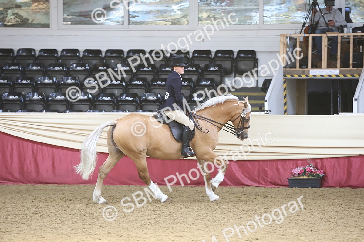 SBM_23783 - class 906 - Supreme Final - Ridden Pre Vet