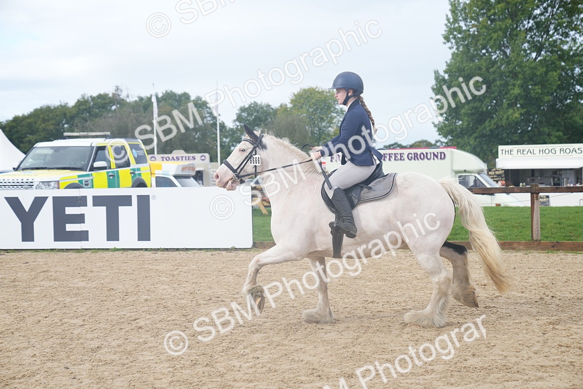 SBM_01872 - J54 - Clear Round 50cm