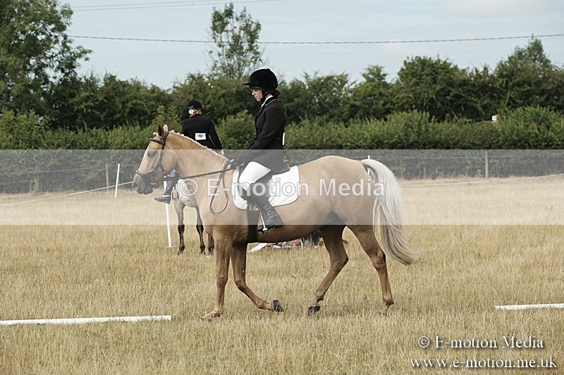 _PJP5736 - Dressage Classes BVRC Show 2018