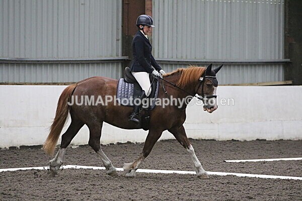 SIAL5623 - CAbin Dressage 5th july 2025