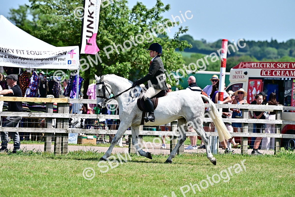 SBM_17458 - Class 95-97 - BSPS LHS Performance Ponies