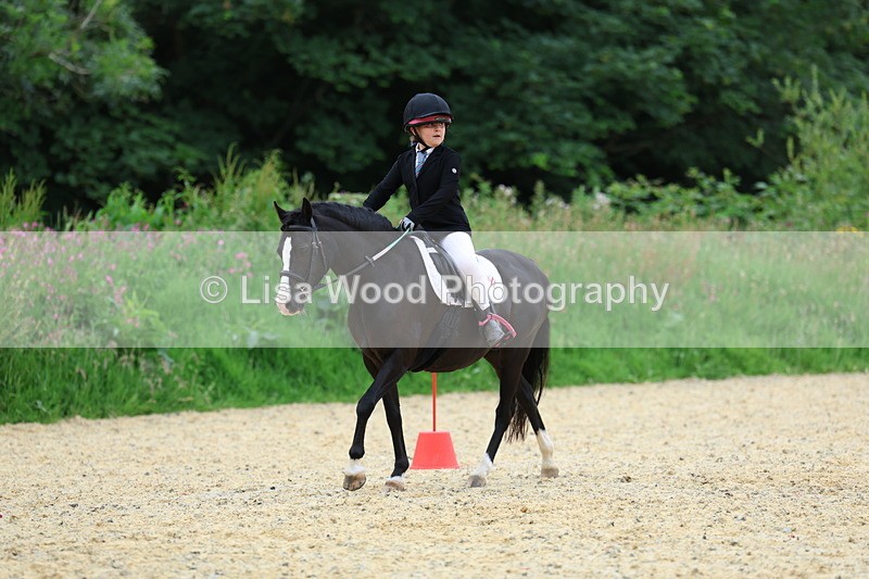 3E7A9466 - Walk trot run