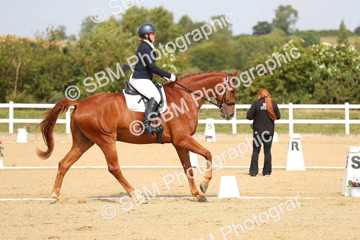 SBM_017296 - Class 13 - Novice 23 - 13.31-14.13