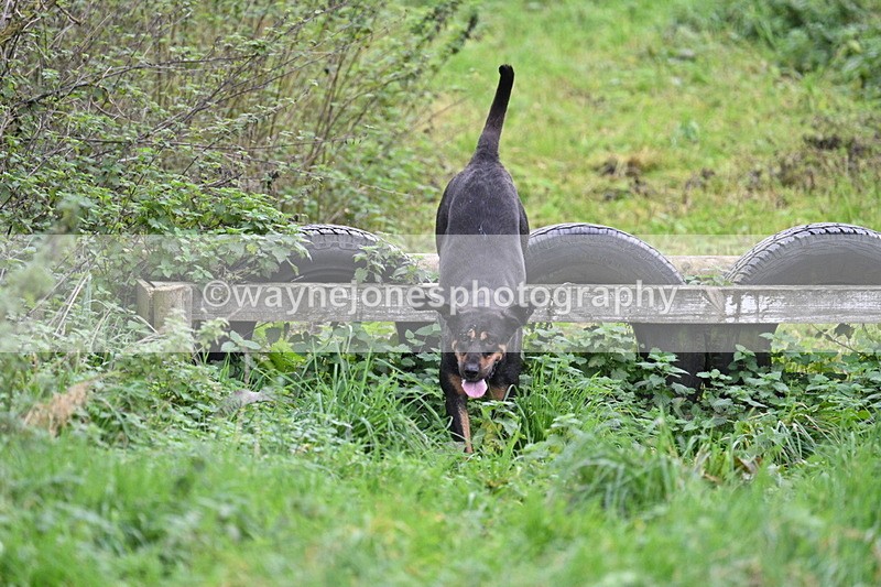 WJ7_8956 - Camera 1 only on this line