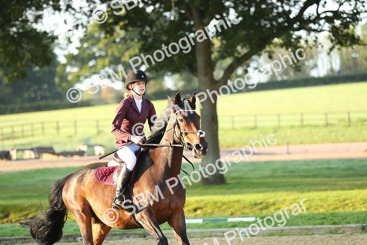 SBM_57619 - J64 - Clear Round 90cm