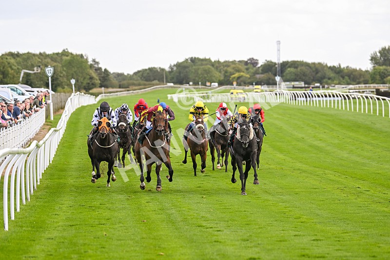 100924-Race 2-Keldeo-9992 - Race 2