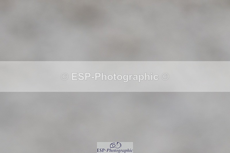 250125-141025-00775 - Dressage - CT Class 7 BE Novice 112