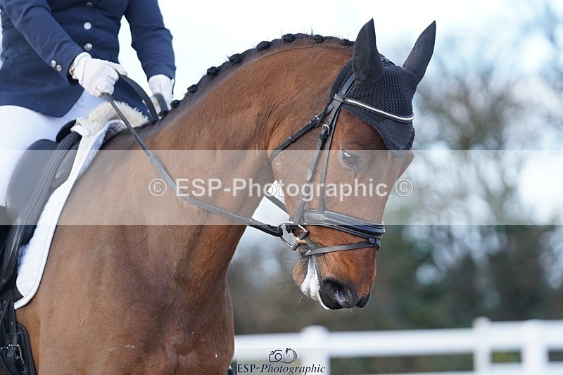 241214-124734-00508 - 135-Ellie.Discombe-Lanche