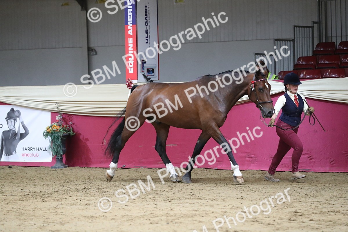 SBM_06296 - Class 9R Regional- IH Pre Vet