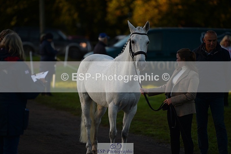 231022-083246-21218 - 659-MACS.BOY-Daisy.Fulton-TrotUp+SJ