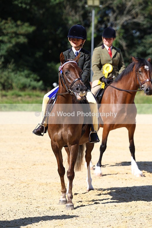 3E7A7961 - Class 14: Tack and Turnout