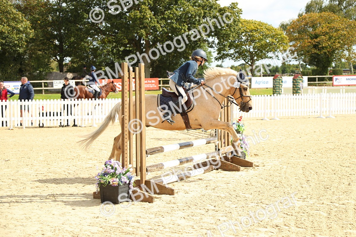 SBM_46247 - Supreme Championship - AM