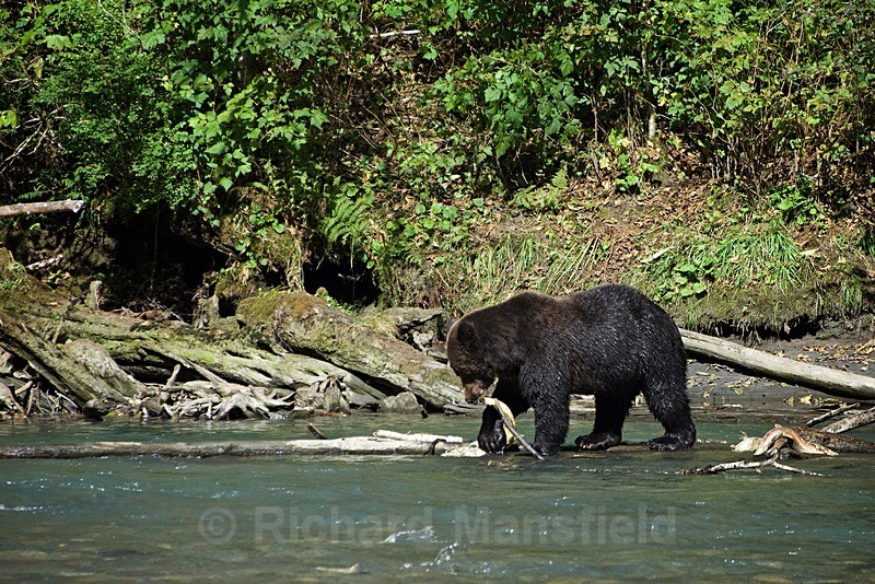  - Canada West Coast