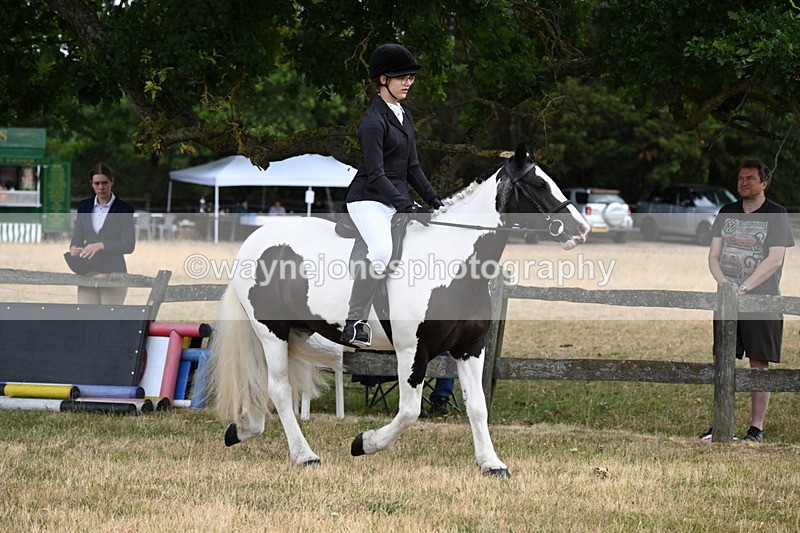 WJ6_3907 - Class 9 Tack & Turnout