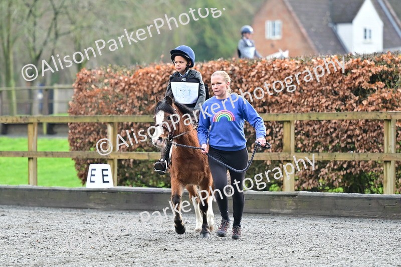 20260125-0950 - Class 9a - Walk Trot Assisted