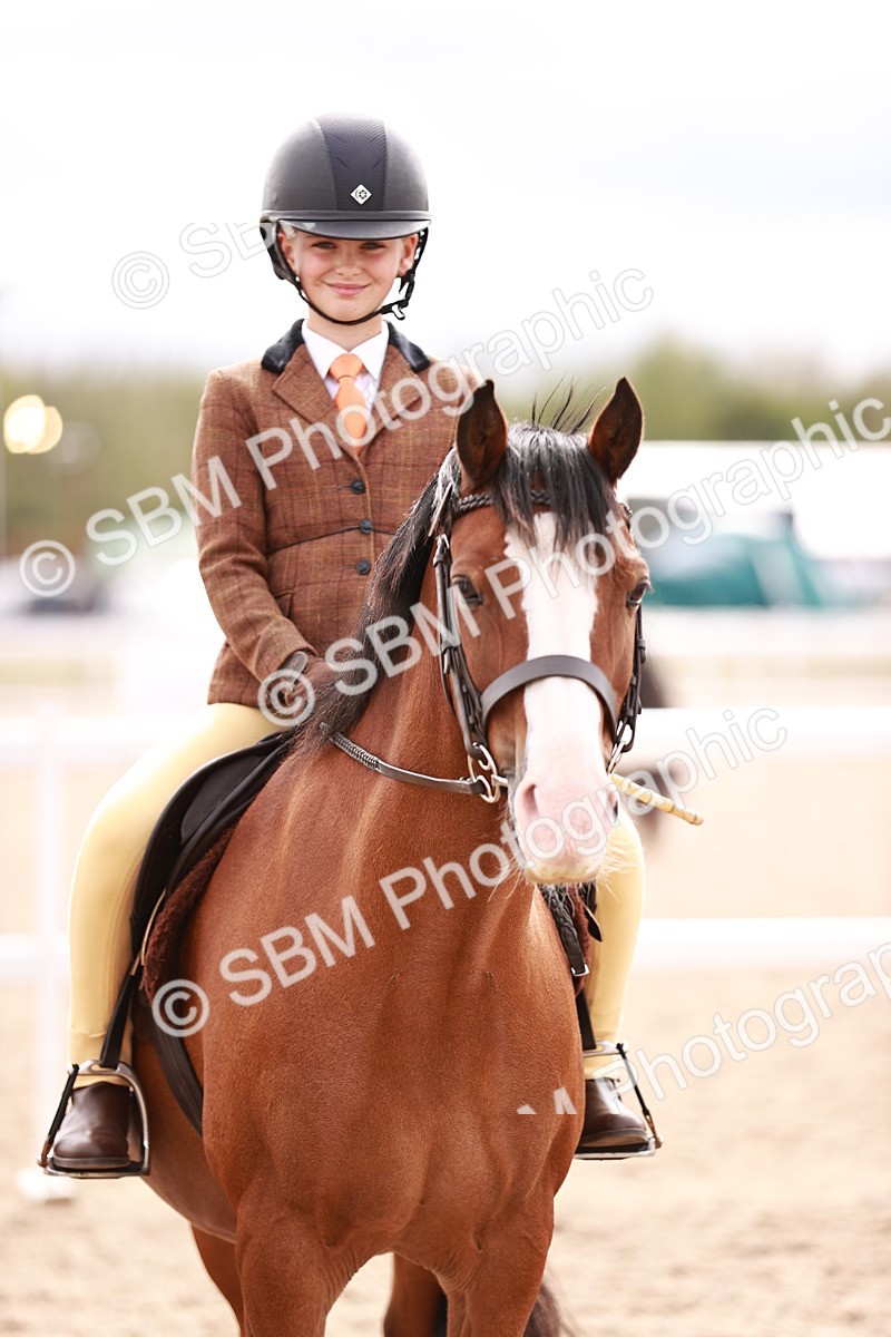 SBM_18323 - Class 417 - Handsome Gelding (IH or Ridden - JNR)