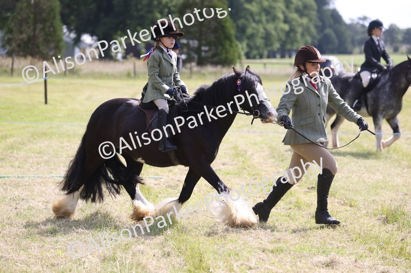 20260614-0639 - Class 20 - Beginners Working Hunter Pony