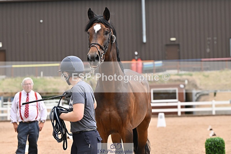 250716-145129-01457 - Trot Up 2.30 to 3.30