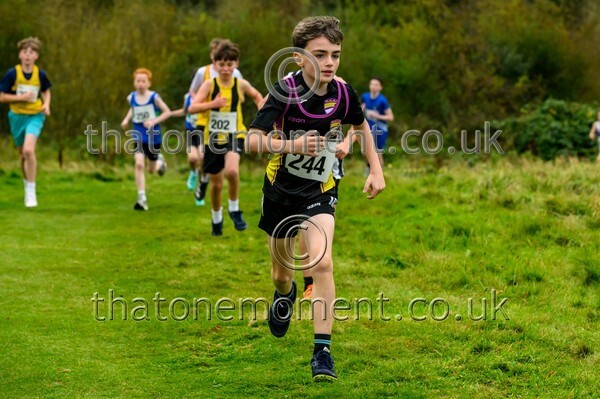 WestRLY25-911779 - Young Male Set One