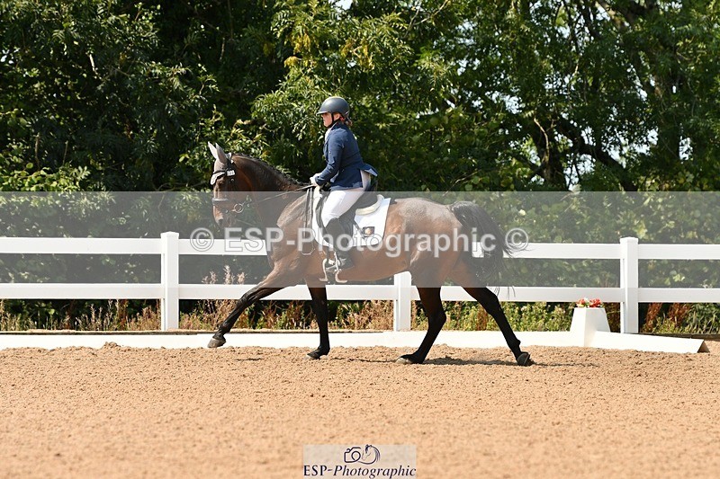 250817-133953-10025 - 033-Frankie.TorodeFirst.Impression.VI