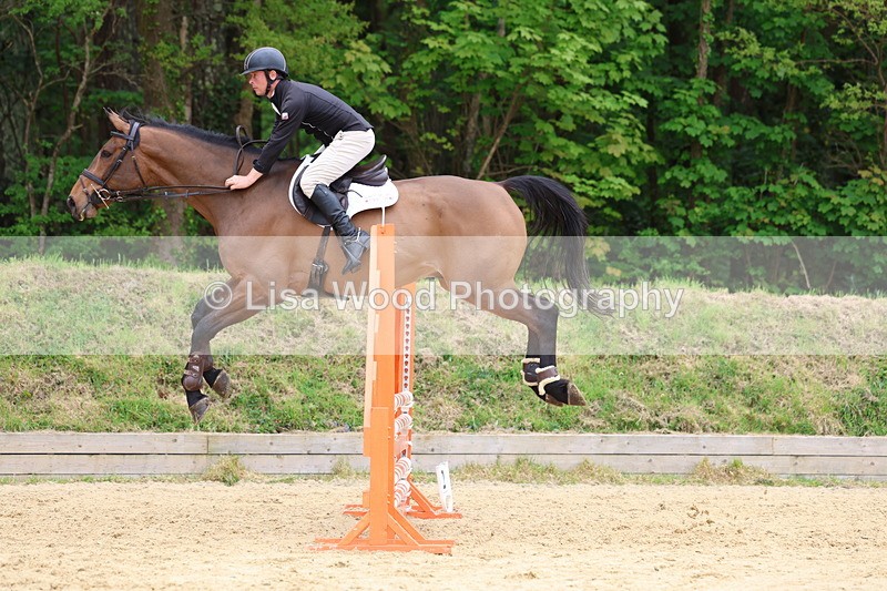 3E7A6328 - Class 4: Senior British Novice/90cm open