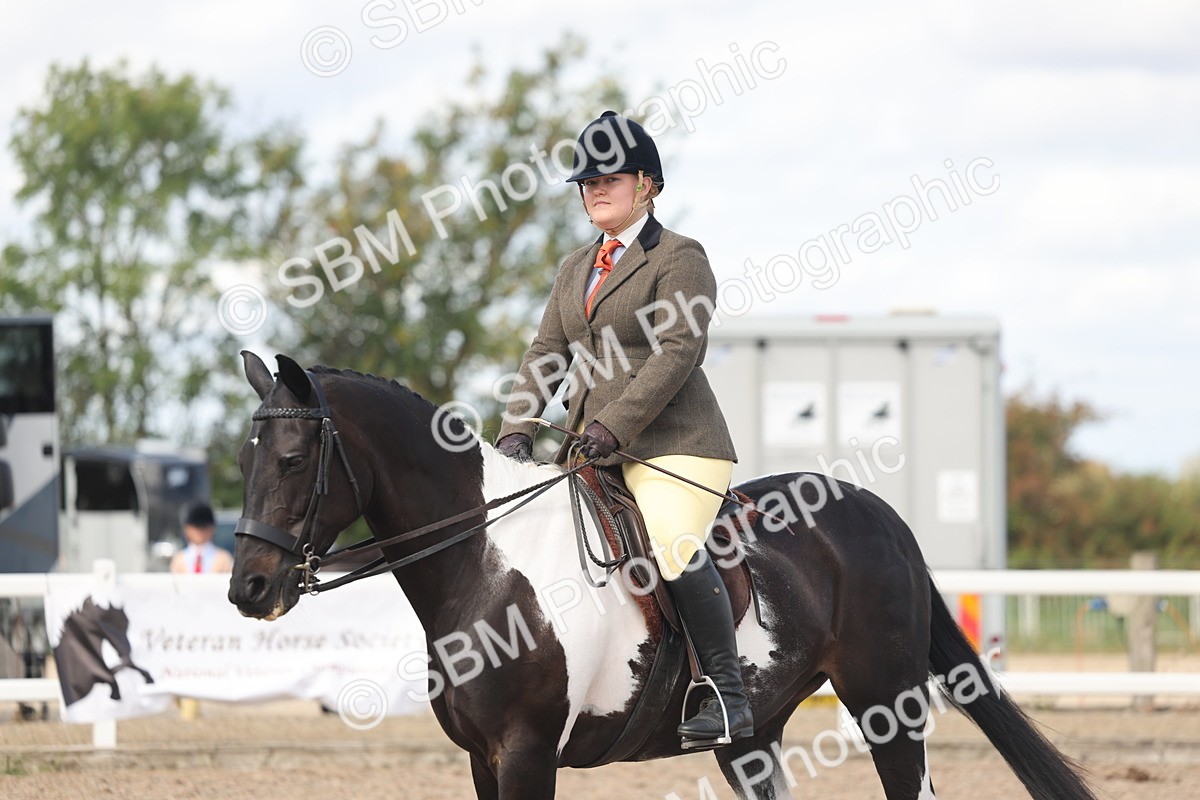 SBM_14833 - Class 308 - Ridden Coloured Horse
