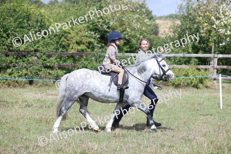 20250831-2778 - Class 17 - Lead Rein Pony