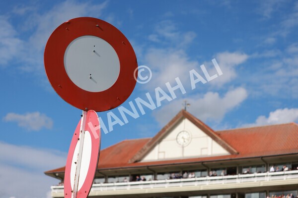 yr21052022r7-17 - Race 7: 5:15pm Reg Bond Always and Forever Stakes