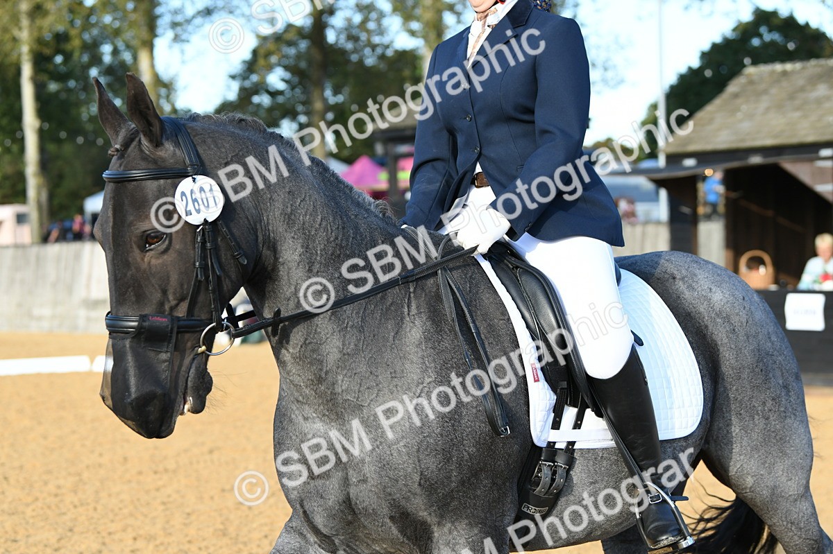 SBM_30700 - D16 - Small Tour Championship - Novice 28