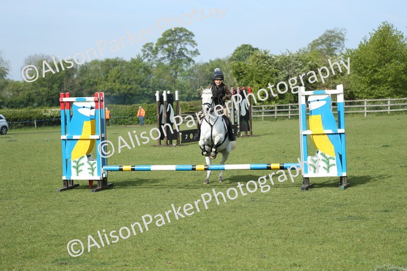 20260426-0210 - Class 13 - Rookie Jumping 50cm