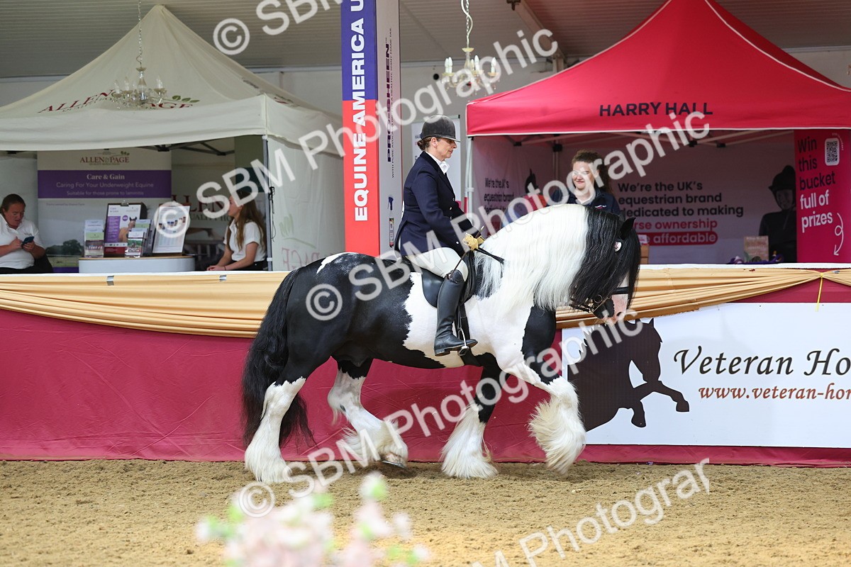 SBM_24022 - Class 905 - Supreme Final - Ridden Veteran