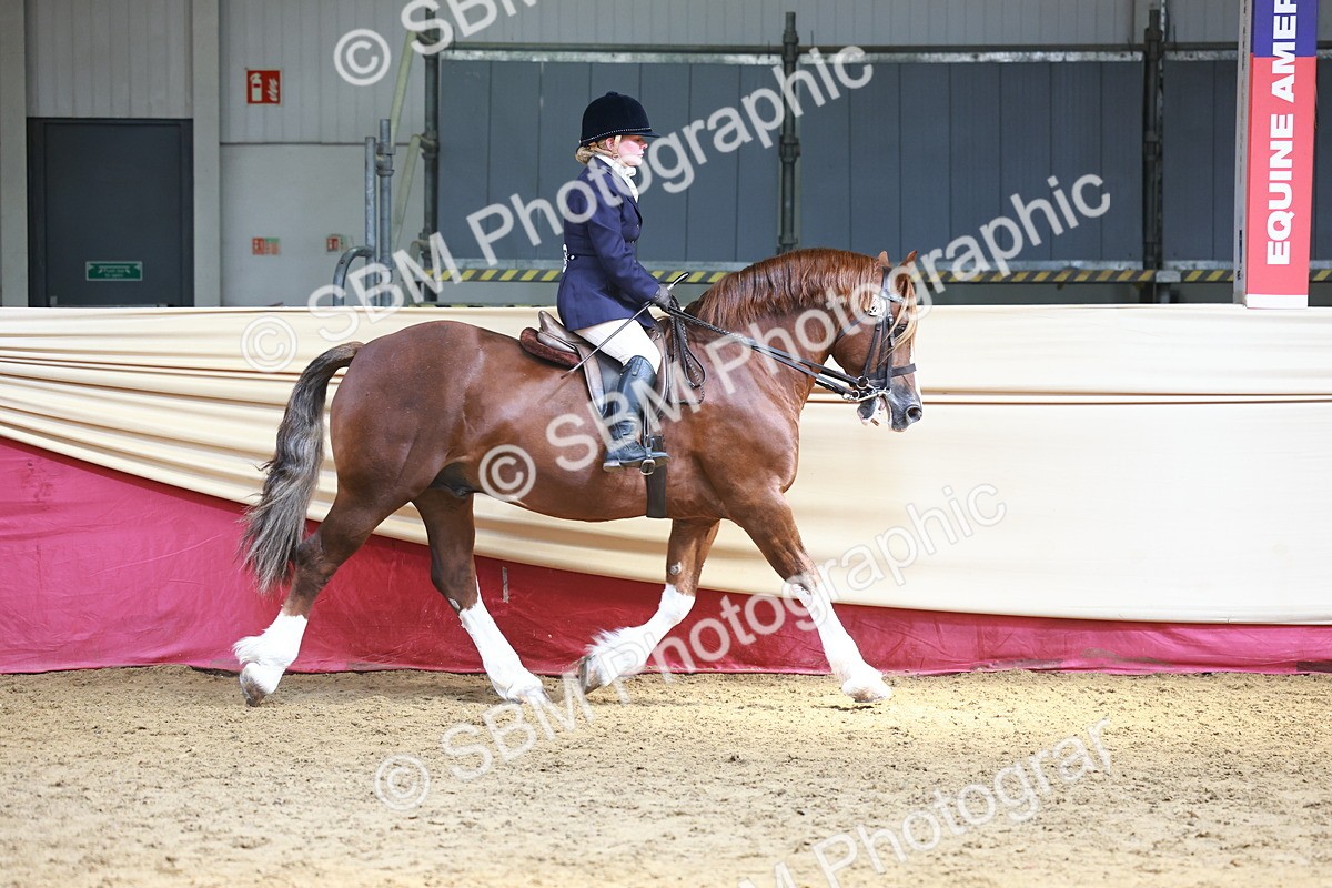 SBM_23289 - class 906 - Supreme Final - Ridden Pre Vet