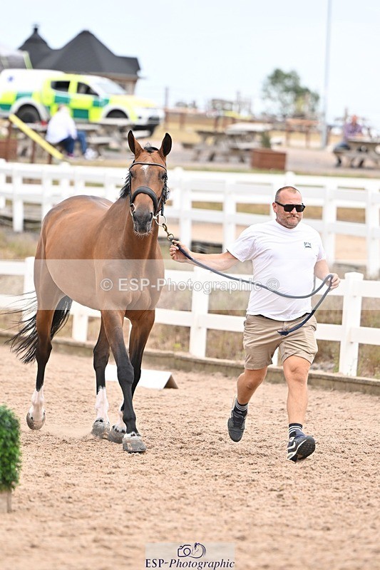 250716-155448-02273 - Trot Up 3.30 to 4.30