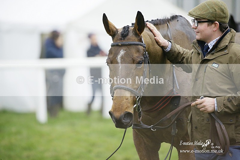 PtP 200222 138 - Countryside Alliance PtP Badbury Rings 20/02/22