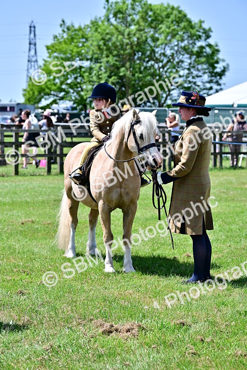 SBM_05972 - Class 59-60 - TSR M&M  Lear Rein and First Ridden Amateur of the year