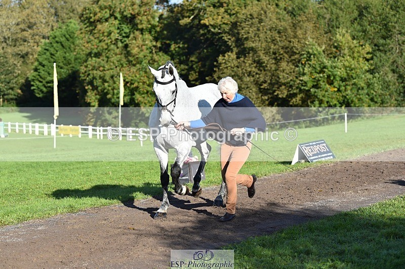 231022-100316-22209 - 624-CORRIEVIEW.OSCAR-Jane.Rogers-TrotUp+SJ