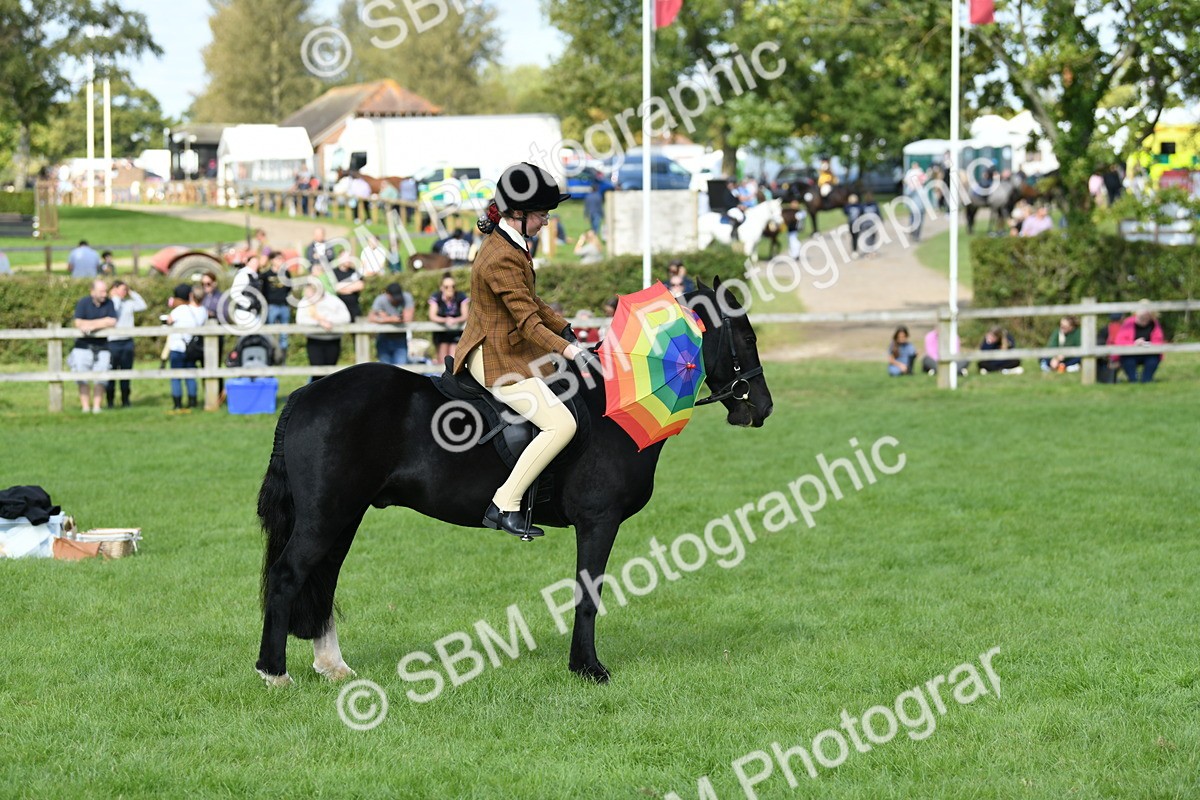 SBM_47078 - S12 - Family Horse & Pony